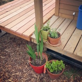 tiny house porch plants